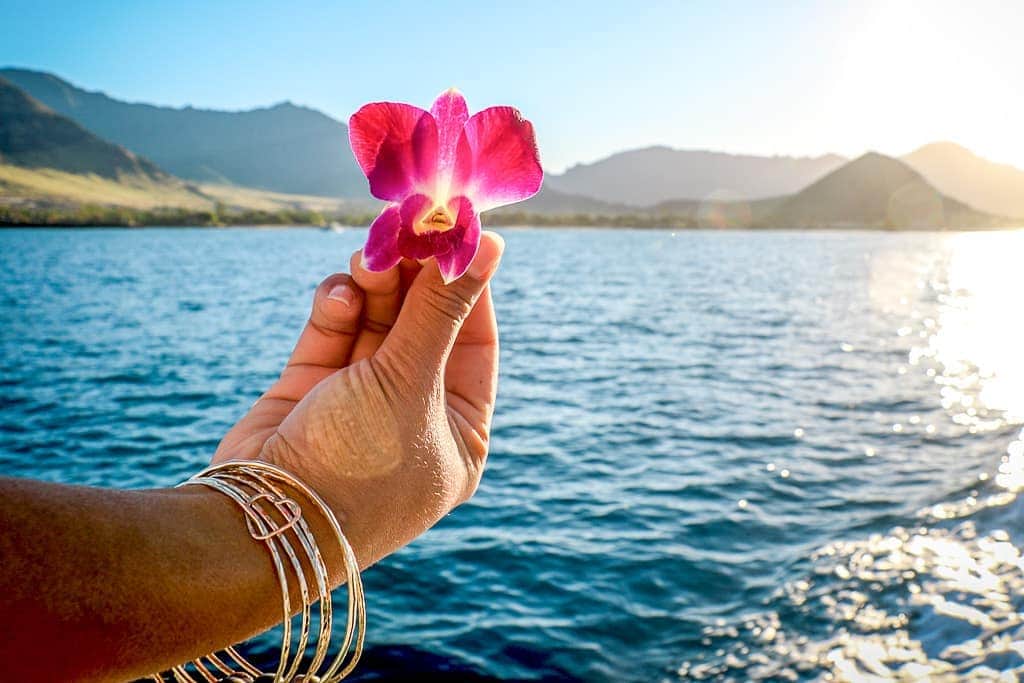 And Youさんのインスタグラム写真 - (And YouInstagram)「Every Dolphins and You day begins with a Hawaiian chant asking for pleasant conditions and plentiful dolphins 🌸. This beautiful ancient tradition helps us to start every day with a connection to the land and the sea. #hawaii #hawaiistagram #hawaiivacation #hawaiitravel #hawaiiholiday」3月30日 5時01分 - dolphinsandyou