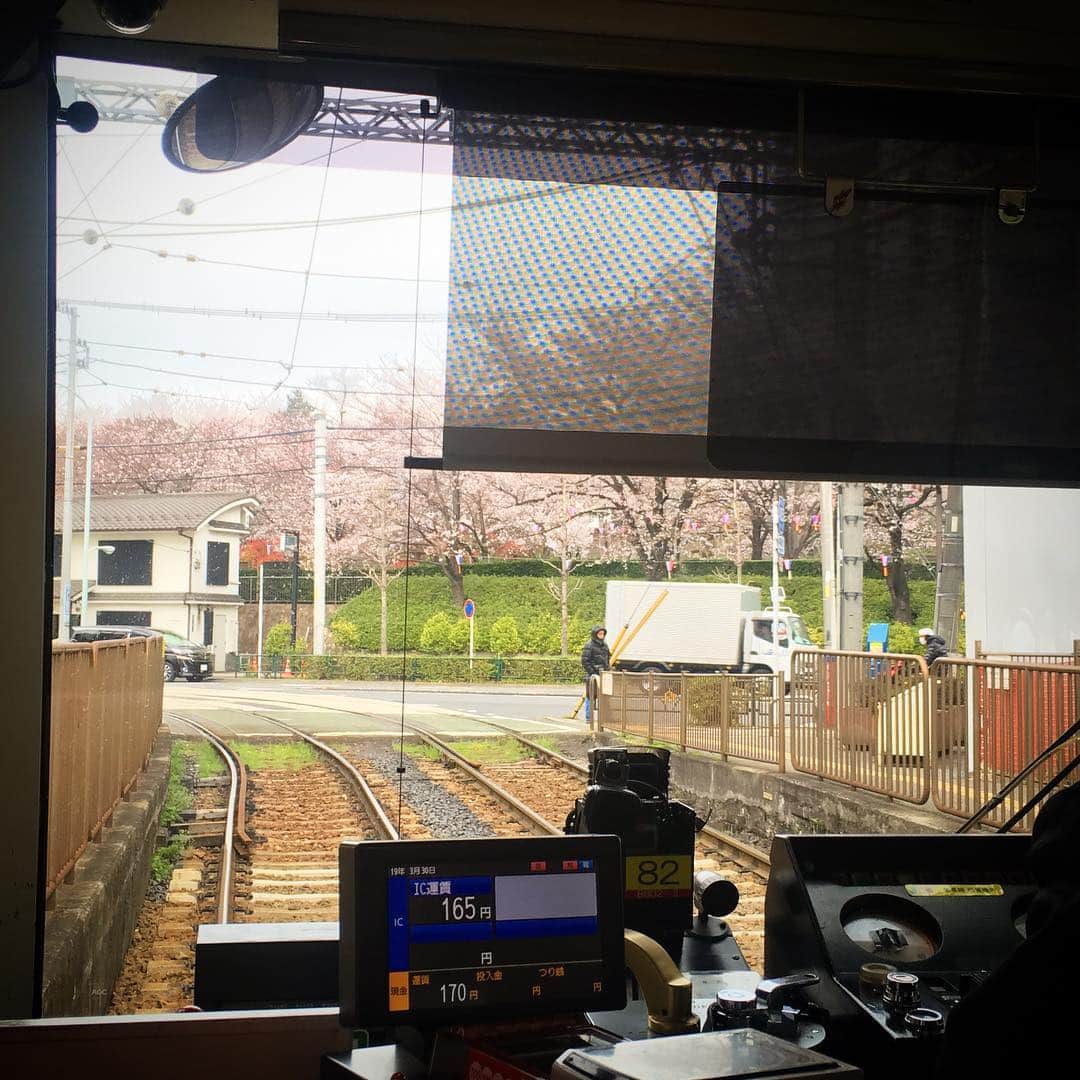 田中香子さんのインスタグラム写真 - (田中香子Instagram)「荒川方面での撮影へ、 10年振りくらいに 都電に乗ってゆきました。  飛鳥のお山の桜は、 花冷えに凍えながらの 五分咲きでありました。  #sooは撮り鉄 #train #streetcar #tram  #trolley #チンチン電車」3月30日 16時51分 - soo.yt
