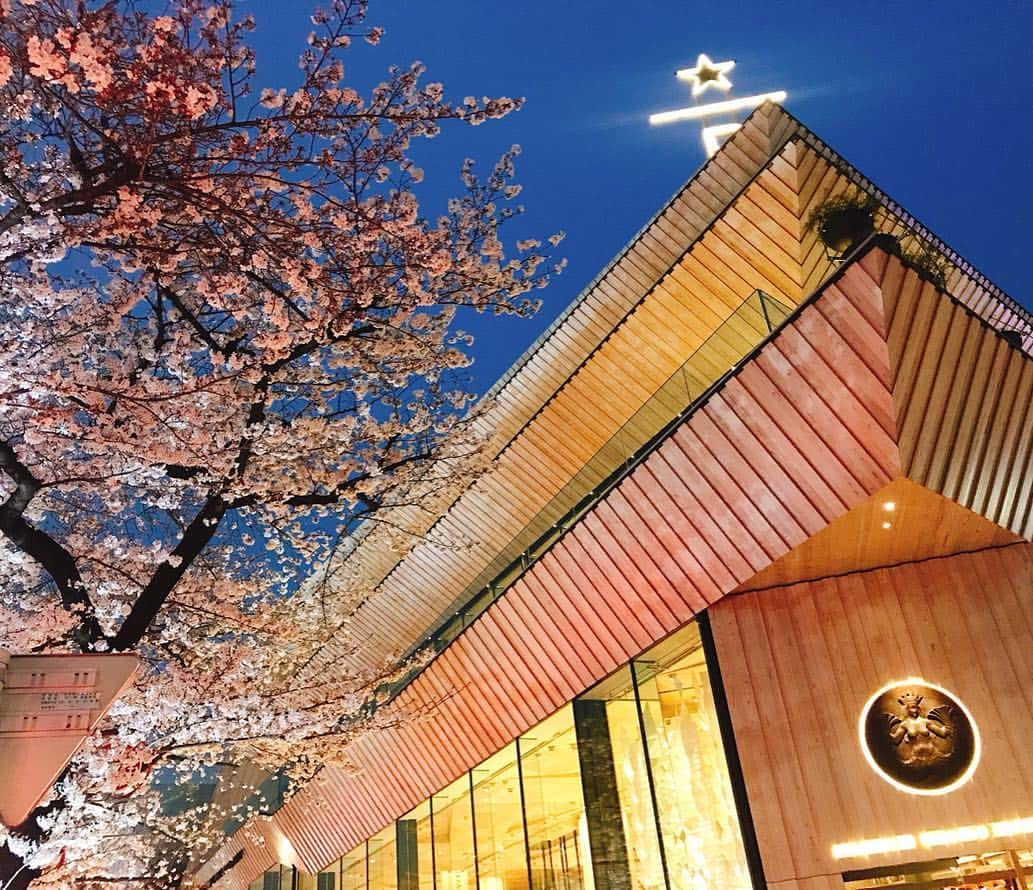 丸尾歩のインスタグラム：「STARBUCKS RESERVE ROASTERY TOKYO☕️☕️☕️ 夜外観バージョン  夜桜とのコラボレーションよ 🌸🌸🌸 今の時期だけだから、 写真に納められて最高☺️☺️☺️ ＊ ＊ ＊  #starbucksreserveroasterytokyo #中目黒 #桜 #樱花 #cafe #カフェ #珈琲 #咖啡 #星巴克 #starbucks #teatime #喝茶 #下午茶 #aftarnoontea #drink #美味しい #好喝 #好吃 #japan #tokyo #china #beijing #日本 #東京 #中国 #北京#まったり#夜桜」