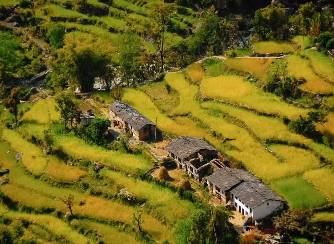 National Geographic Travelさんのインスタグラム写真 - (National Geographic TravelInstagram)「Photo by @acacia.johnson | A cluster of houses in the foothills of the Indian Himalayas near Nanda Devi National Park. During a 40-day climbing expedition in the Indian Himalayas, what surprised me most were the lush ecosystems and endless small villages that extended all the way to the snow line. Visiting with locals and enjoying local tea houses on the way up to the glaciers was a true highlight of traveling there. Follow me at @acacia.johnson for more travels in the mountains and on the sea. #himalayas #india」3月30日 15時58分 - natgeotravel