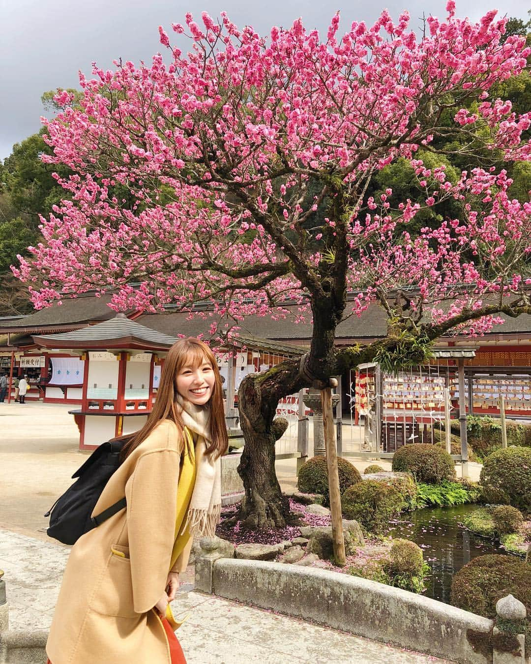 松中みなみさんのインスタグラム写真 - (松中みなみInstagram)「太宰府天満宮⛩🌸 ・ ・ もう3月も終わろうという頃に 3月初めに行った 福岡#太宰府天満宮 の思い出をぺた🍀 ・ 福岡で生放送あったので 前乗りして参拝してきたの❣️ ・ この頃は〝梅が満開じゃ〜✨って 喜んでたけど 今はもう桜の時期🌸✨ 時間が経つのは早いな〜💭✨ ・ ・ ・ #福岡 #神社 #太宰府 #学問の神様  #御朱印 #美文字 #御朱印ガール #御朱印集め  #御神牛 #🐂 #同い年 😳 #御朱印巡り #神社巡り #goshuin #shrine #dazaifu  #松中みなみ」3月30日 16時09分 - minami_matsunaka