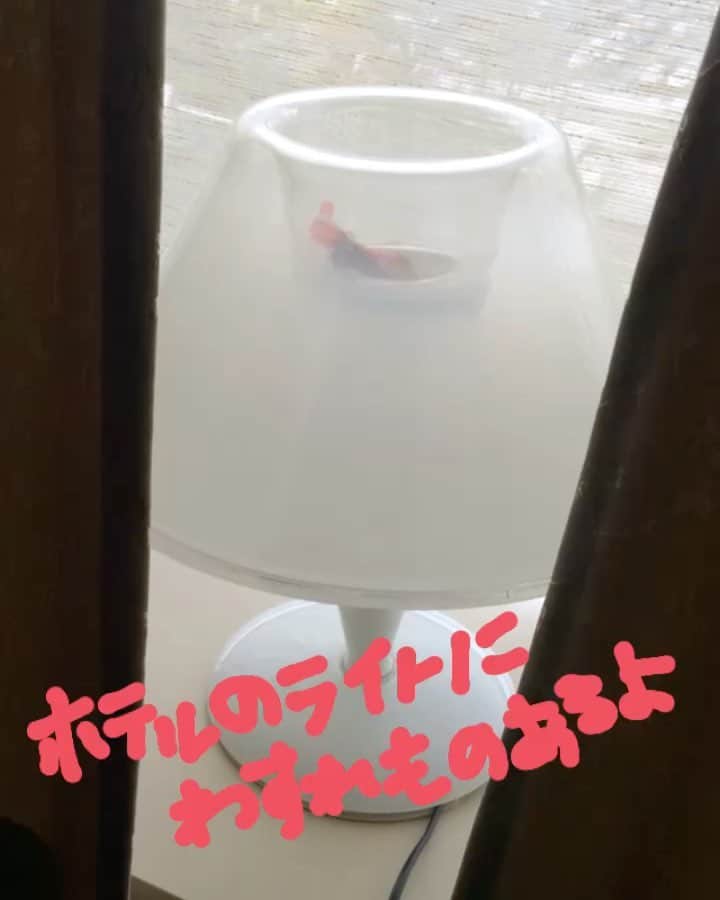姫路麗のインスタグラム