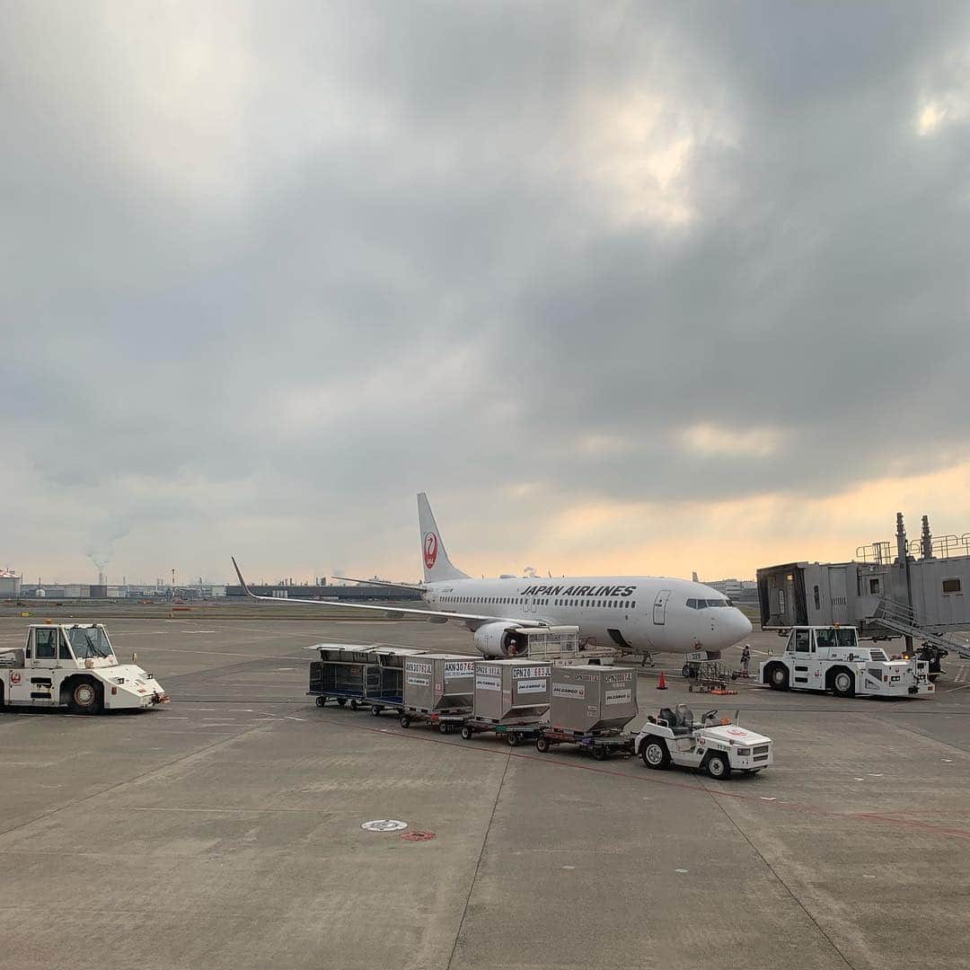 金子貴俊さんのインスタグラム写真 - (金子貴俊Instagram)「日本へ帰ってきたけど。 お家に2時間くらい帰って、またまた空港へ！明日のお仕事のために飛行機移動✈️」3月30日 16時23分 - takatoshi_kaneko