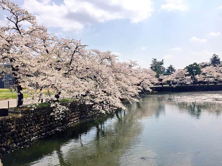 菅原智郁さんのインスタグラム写真 - (菅原智郁Instagram)「きょう30日(土)午後3時からは｢置賜さくら回廊｣という番組を放送します🌸 置賜の桜情報や、その周辺で楽しめるグルメ情報をお伝えしますよー🤤 . 5枚目の写真は、去年の #米沢市 #松が岬公園 の桜です😊✨ ぜひこの番組を見て、4月は春の置賜へどうぞお越しください🌸 .  #山形 #置賜 #米沢 #南陽 #高畠 #川西 #長井 #白鷹 #飯豊 #小国 #置賜さくら回廊 #桜 #米沢牛 #ラーメン #山形テレビ #アナウンサー #菅原智郁」3月30日 8時08分 - tomotomokaaaa22