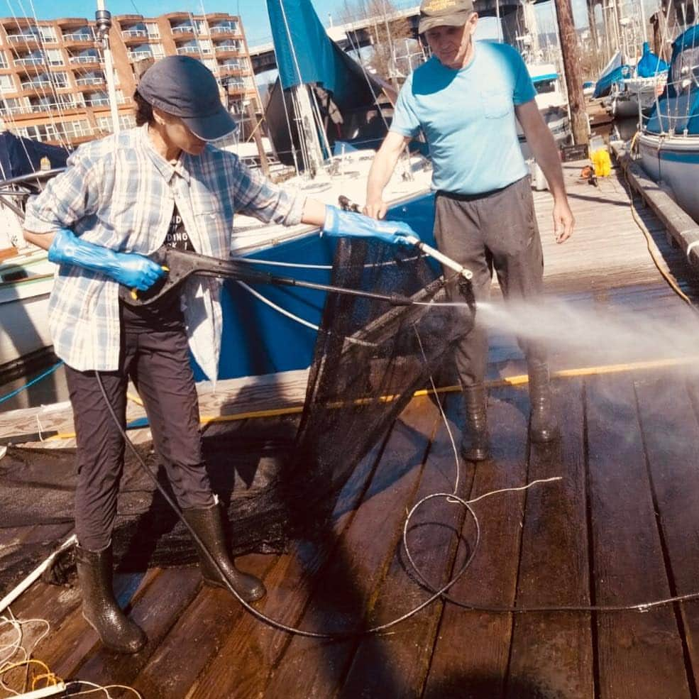 ジェニファー・ビールスさんのインスタグラム写真 - (ジェニファー・ビールスInstagram)「Was so happy I got to spend part of a beautiful morning with my friend #JohnMatsen cleaning algae and hatched herring eggs off the nets in #FalseCreek to benefit the herring population. John has been the co chair and Herring Recovery Coordinator of the #SquamishStreamkeepers since 2006. He and his team have helped grow the once diminishing herring population by providing them with safe spawning spaces. Unsurprisingly the creosote covered pylons in the wharf are toxic to the eggs. To help facilitate spawning John and his team have placed over 150 nets in the wharf giving the herring a non toxic place to lay their eggs. Where there are herring the #salmon, #seals and #orcas are not far behind. John and his team are heroes. #ILoveTheOcean #ocean」3月30日 8時25分 - thejenniferbeals