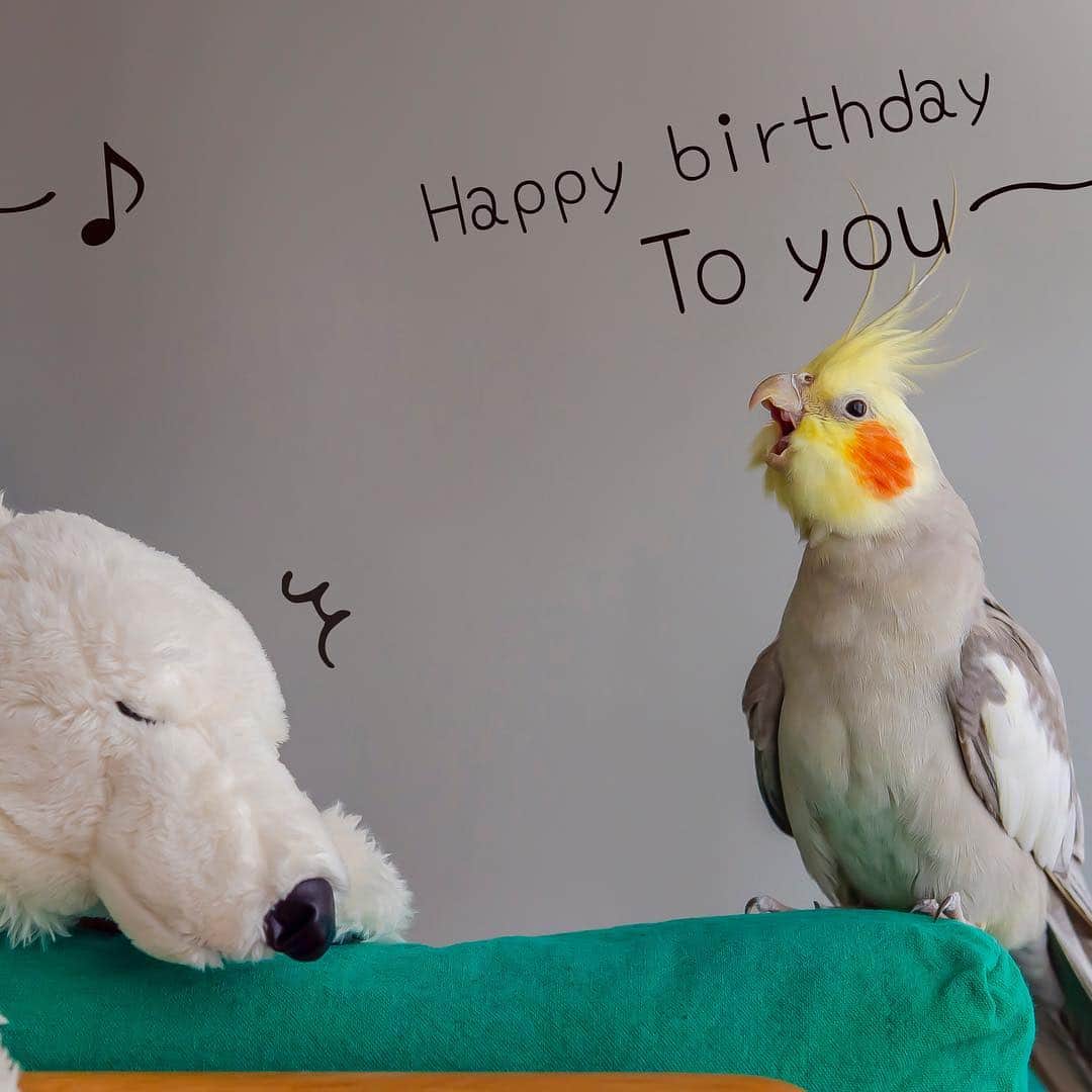 YURAPOi ゆらぽぃさんのインスタグラム写真 - (YURAPOi ゆらぽぃInstagram)「POi 's birthday song practicing for YURA♬🎤🐤💛🎶 Yura turned 11 today! #happybirthday 🎂🎁🎉💝🎂🎁🎉💝」3月30日 8時18分 - ryoichisakai
