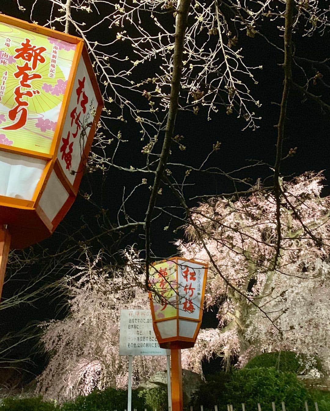 佐久間一行さんのインスタグラム写真 - (佐久間一行Instagram)「昨晩、ライブ終わりに社員さんとスタッフさんがしているお花見にお誘いいただき、少しだけ参加しました〜！京都のこの時期〜ありがたや〜でした！！夜桜綺麗〜！そして、みんなで食べるご飯は美味しいですね〜。 #京都 #祇園 #祇園花月 #八阪神社 #佐久間一行 #花見 #お花見 #桜 #sakura #sakuma #お好み焼き」3月30日 9時07分 - sakuzari