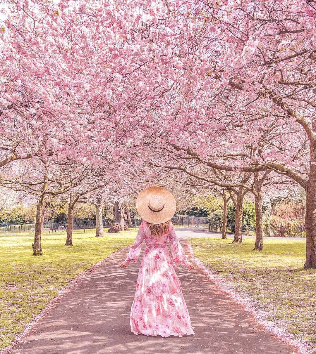 のインスタグラム：「London calling.  #ykmyway #springtime #inbloom #YumiKim」