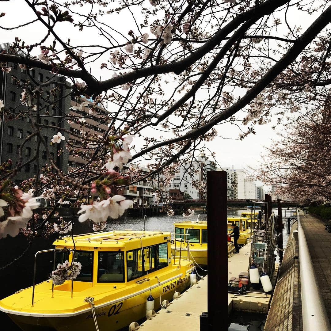 TOKYO WATER TAXIのインスタグラム