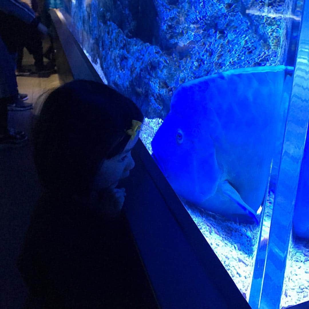 栗原友さんのインスタグラム写真 - (栗原友Instagram)「魚屋の娘らしくお魚大好きで朝から水族館。」3月30日 9時55分 - kuri__tomo