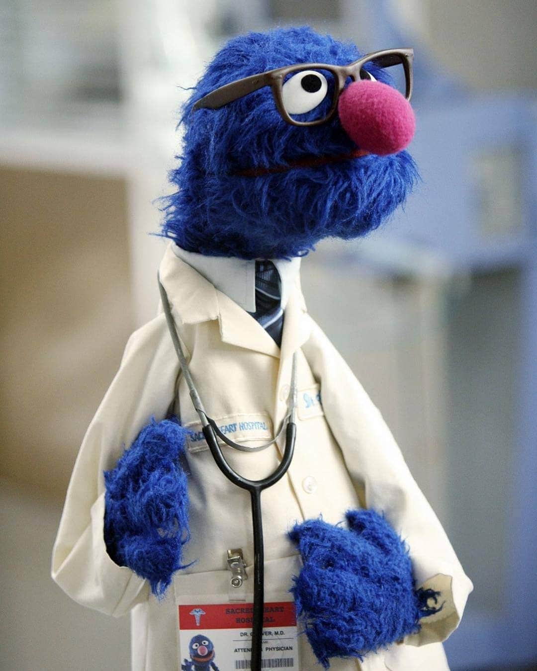 セサミストリートさんのインスタグラム写真 - (セサミストリートInstagram)「グローバー先生は、ここですよー！(#グローバー) #医者の日 #DoctorDay」3月30日 10時05分 - sesamestreetjapan