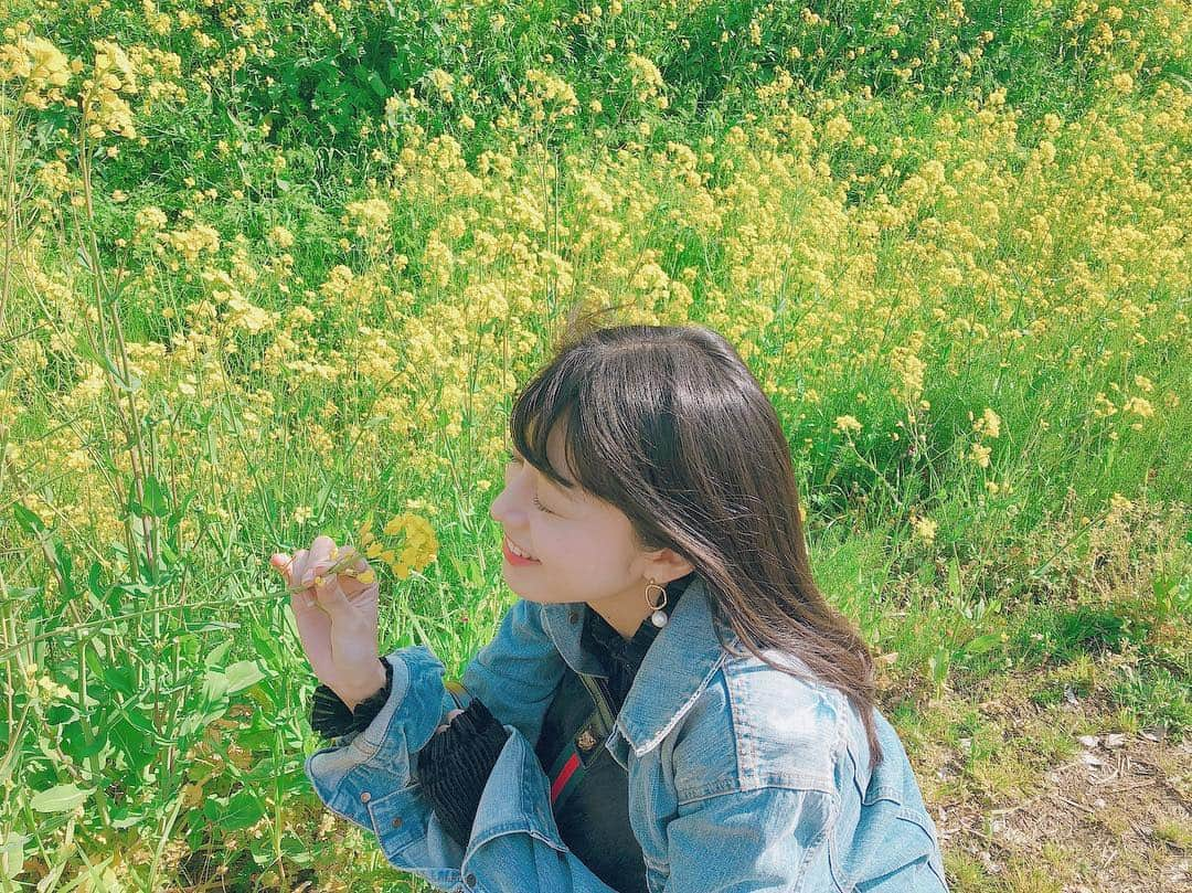 四島早紀さんのインスタグラム写真 - (四島早紀Instagram)「🌼🐝 #菜の花 #春 #お散歩 🌼 . お散歩中に出会った菜の花沢山〜🌼 春だね〜！🌸🌱座って撮ってみた🌼 . Instagram 載せたら画質また悪いかなT_T？ . #福岡 #久留米 #地元 #帰省 #お花 #ﬂower #🌼 #春 #フォローミー」3月30日 10時46分 - saki_shishima