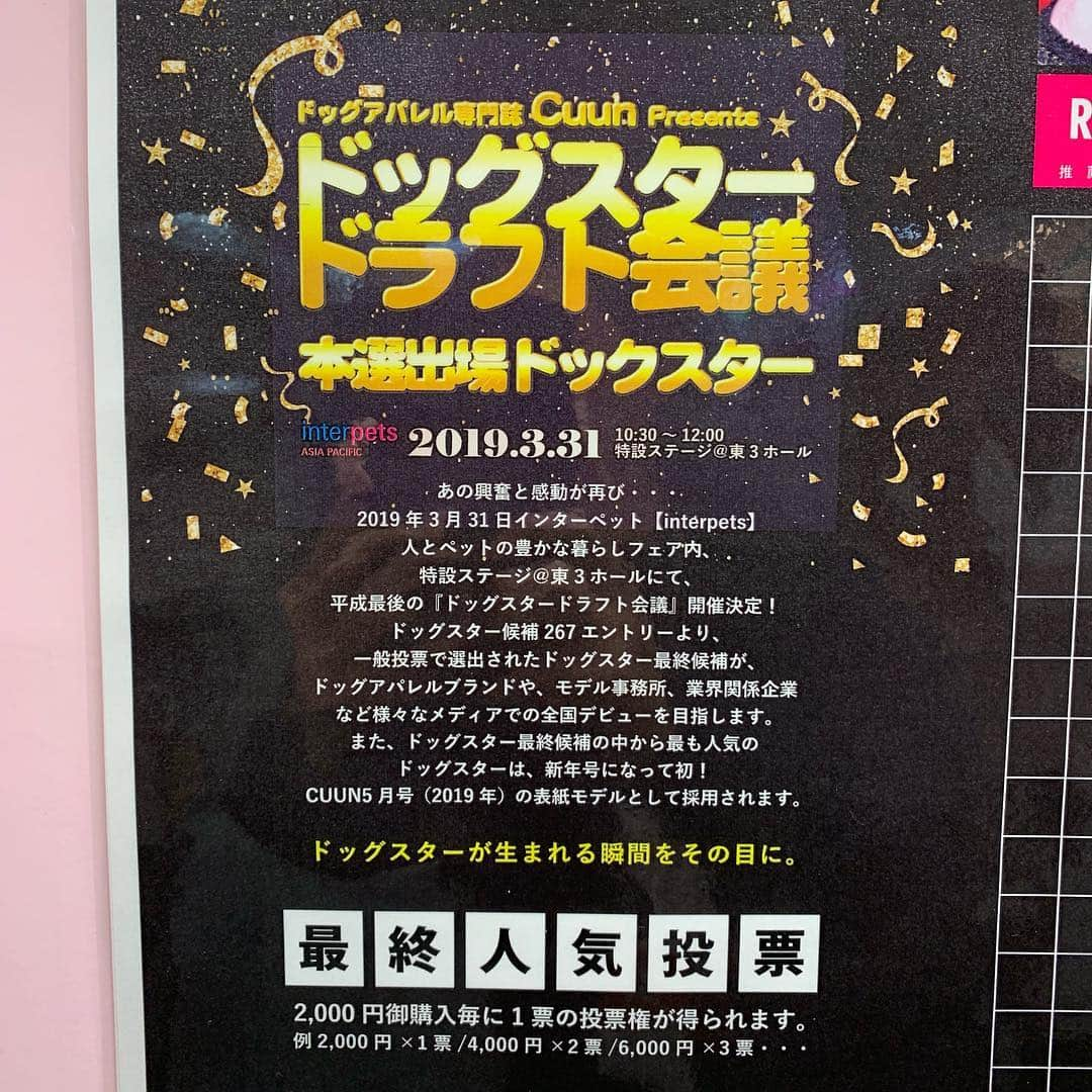 なべやかんさんのインスタグラム写真 - (なべやかんInstagram)「インターペット2019 今日も会場にいるよー。 明日はドッグスタードラフト会議にいます。 司会は大原がおりちゃーん。  #インターペット  #インターペット2019  #ロザイ  #ロザイボトル  #rozai」3月30日 11時08分 - yakan_nabe