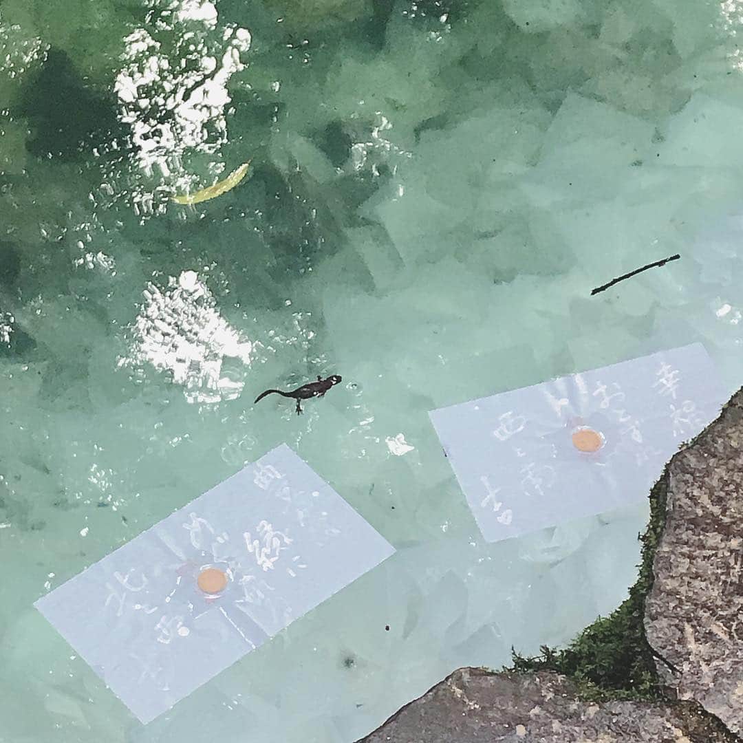 百瀬ひとみのインスタグラム