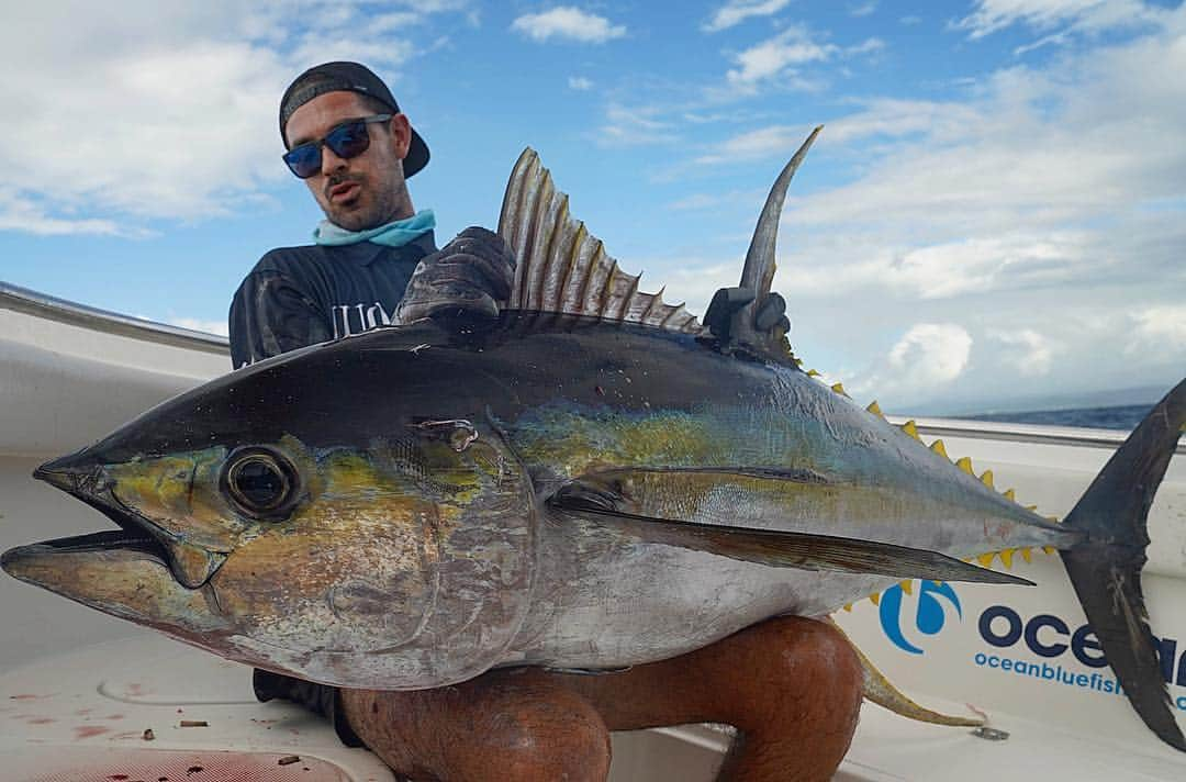 Electric_Fishingさんのインスタグラム写真 - (Electric_FishingInstagram)「Froth meter at full redline.  Congratulations on an epic fish @frothcafe2 ⁣ ⁣ #ElectricFishing⁣ #PolarizedSunglasses⁣ #StyleThatPerforms⁣ #ElectricFishing⁣ #KnoxvilleXL⁣ #yellowfin #fishing」3月30日 11時44分 - electric_fishing