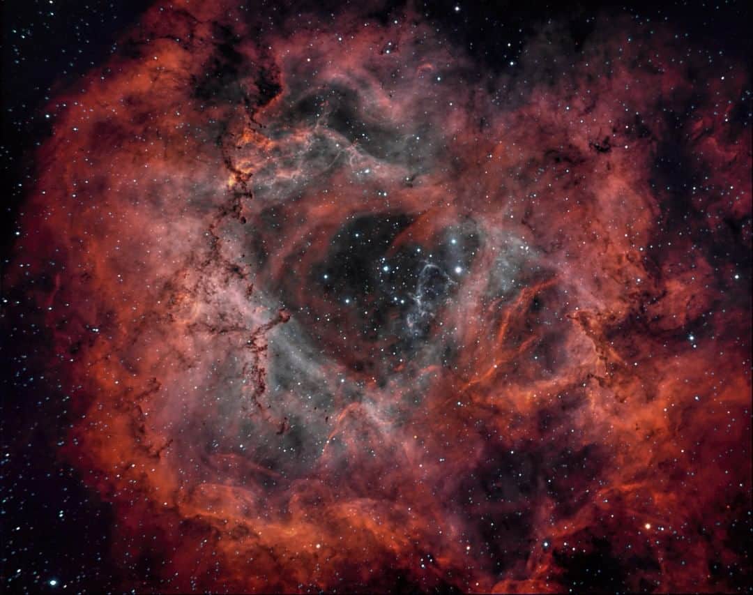 Nikon Australiaさんのインスタグラム写真 - (Nikon AustraliaInstagram)「Today we celebrate #EarthHour at 8:30 pm.  There's no better time to turn off the lights and point your camera towards the sky! The Nikon D810a is designed specifically for Astrophotography and can be mounted to stargazing equipment to produce images that are out of this world.  The Rosette Nebula is over 5,000 lightyears from earth but was captured in stunning clarity by Mark Culley @astro_photography_au during a 3-hour exposure.  #NikonTop #MyNikonLife #NikonAustralia #AstroPhotography #RosetteNebula #SpacePhotography #Stargazing」3月30日 12時00分 - nikonaustralia