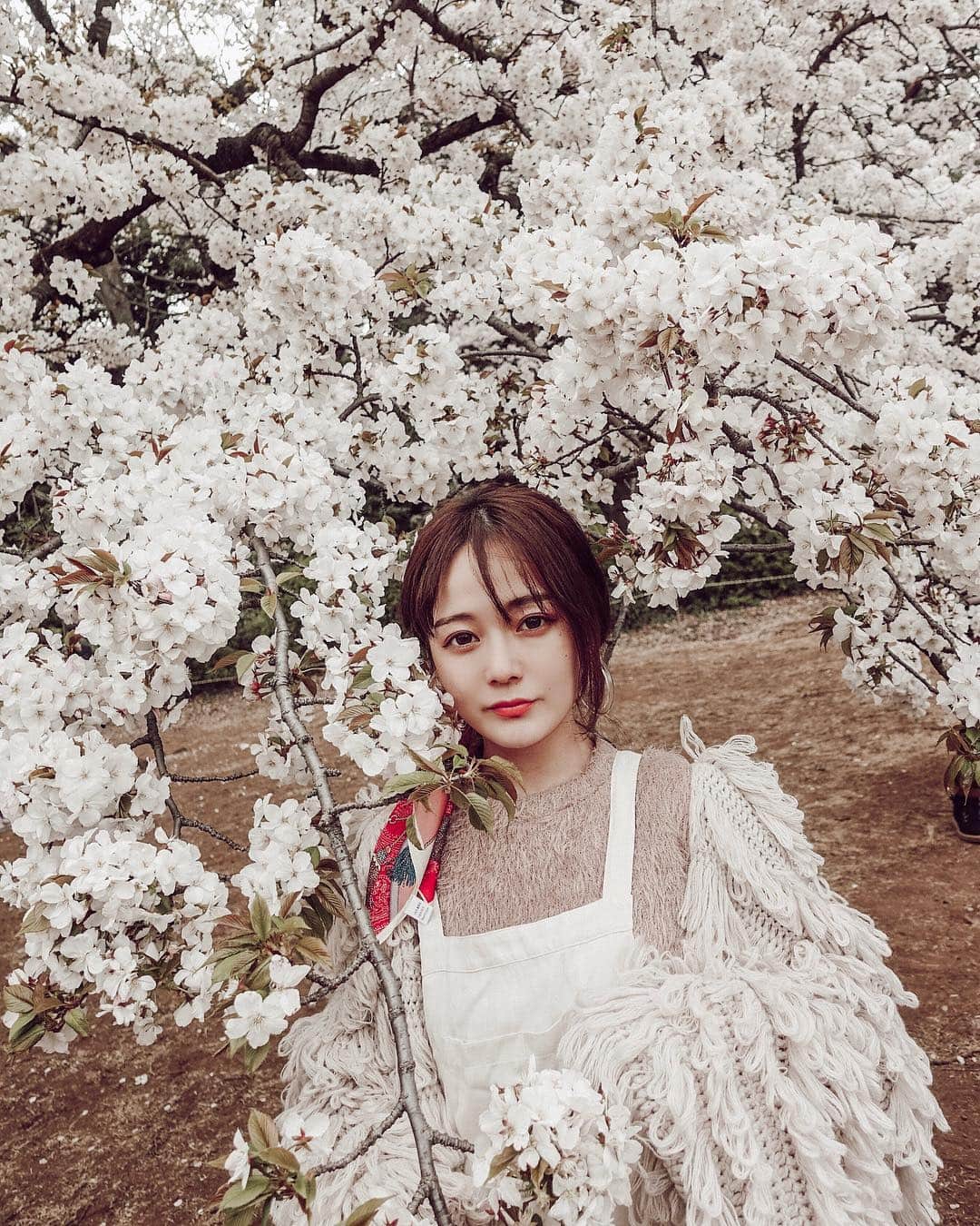 大田くるみさんのインスタグラム写真 - (大田くるみInstagram)「桜が綺麗な季節🌸 春になったら色んなところ行きたいな〜⠀ ⠀ ちなみにこの日のLlP💋は #マキアージュ ルージュミニのテキーラサンセットをしっかり重ね塗り🍹 (ブログに書いたやつです)⠀ ⠀ #cherryblossom  #spring」3月30日 12時25分 - kurumimi1113
