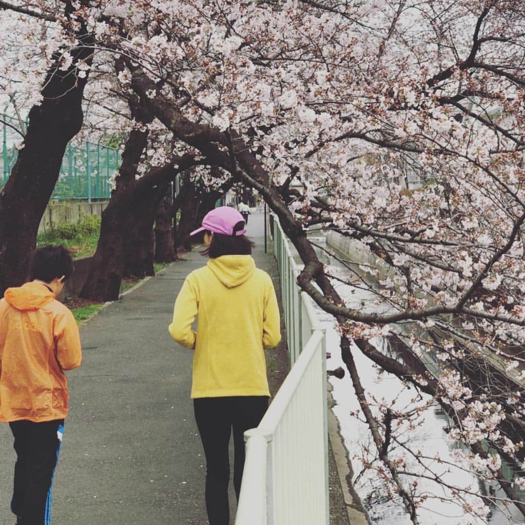 AYUMIさんのインスタグラム写真 - (AYUMIInstagram)「桜咲く🌸 お父さんと息子の春休みの日課の朝マラソン 今日は私も一緒に。 この時期は桜がきれいで きもちいいな🌸 . . #桜 #朝ラン #マラソン #春休み #AYUMIアウトドア」3月30日 12時28分 - ayumiayunco