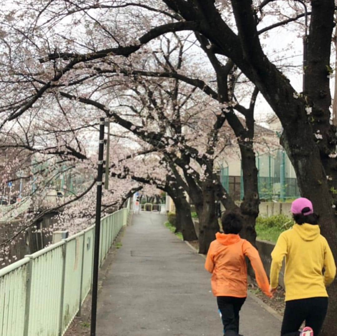 AYUMIさんのインスタグラム写真 - (AYUMIInstagram)「桜咲く🌸 お父さんと息子の春休みの日課の朝マラソン 今日は私も一緒に。 この時期は桜がきれいで きもちいいな🌸 . . #桜 #朝ラン #マラソン #春休み #AYUMIアウトドア」3月30日 12時28分 - ayumiayunco