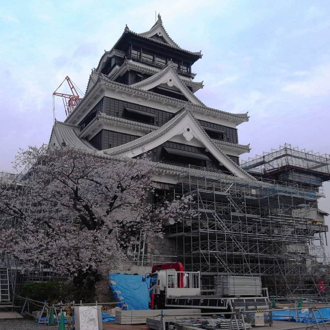 熊本城さんのインスタグラム写真 - (熊本城Instagram)「立入規制エリア内桜情報③ ここ数日で天守閣前の桜がほぼ満開となりました！(2019年3月29日撮影) Photos in the regulated entry area #熊本城 #天守閣 #桜 #熊本 #kumamoto #castle #桜 #cherryblossom #sakura #japansakura #日本 #japan #地震 #earthquake」3月30日 12時56分 - kumamoto_castle