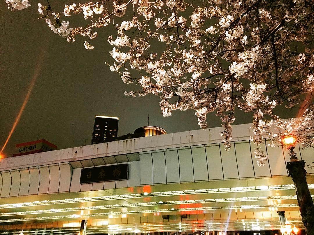 佐藤千晶さんのインスタグラム写真 - (佐藤千晶Instagram)「日本橋の桜もいとうつくし。  昔と今が交わってる感じ。  #日本橋 #桜 #cherryblossom #sakura #tokyo #nihonbashi #japan」3月30日 12時52分 - satochiaki125