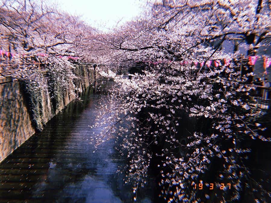 のインスタグラム：「👗 先日みた今年初の桜と お世話になっている最近の衣装の一部です✨ . . 今夜のJリーグタイムは スペシャルゲストをお招きします！！！ 試合の速報もお見逃しなく🔥 #oha4#おはよん#衣装 #bluelabelcrestbridge#andcouture  #jリーグタイム」