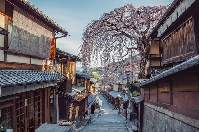 Sonoda COO Yukiyaさんのインスタグラム写真 - (Sonoda COO YukiyaInstagram)「Spring has come to Kyoto !!!!! It’s sooooo beautiful !!!!! Let me know your favorite place in Japan to see cherry blossoms !!!!! . #kyoto #tokyo #kyotophotographer  #tokyophotographer  #proposal #proposalphotographer #tokyoproposal #kyotoproposal #proposalphotographer #prewedding #tokyoprewedding #kyotoprewedding #preweddingphotographer  #tokyopreweddingphotographer #kyotopreweddingphotographer  #wedding #tokyowedding #kyotowedding #tokyoweddingphotographer #kyotoweddingphotographer」3月30日 13時07分 - coo_travelphoto