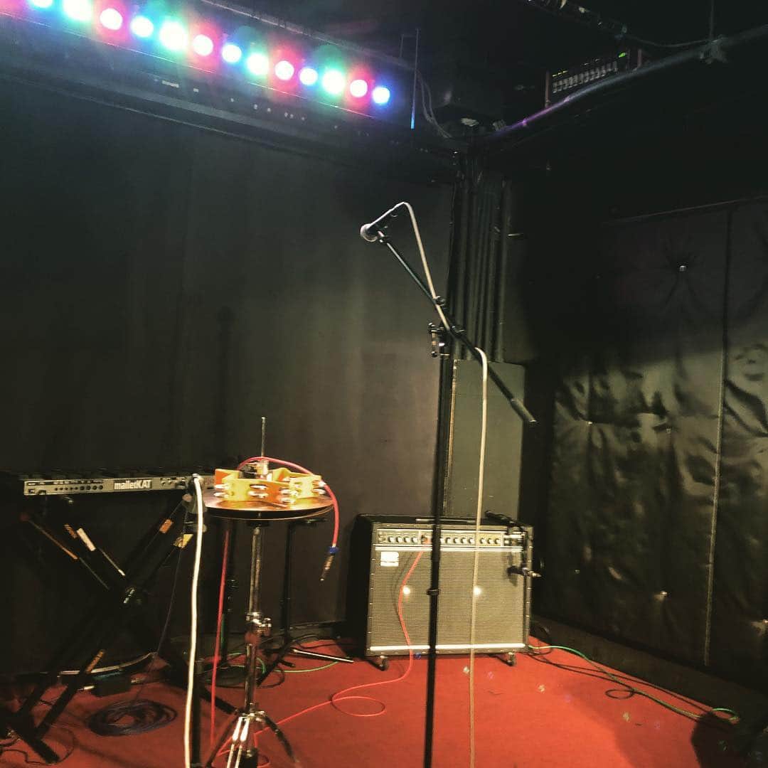 山川のりをのインスタグラム：「本日は那覇のジーシェルターにてギターパンダ ライブです。14時/14時30分、2500円+Dです。共演はむぎ（猫）！お近くの方々会いにきてアイニージュー！」