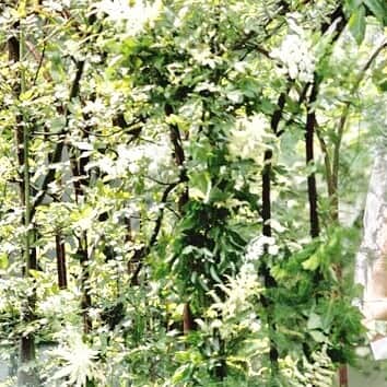 のインスタグラム：「* コラムを更新しました✨ 《ヴィンテージ感漂うウェディングドレスでクラシカルウェディング》 . * コラムは @Dresses_weddingdress のプロフィールリンクよりご覧下さい🎈 TOPページまたは少し下にスクロールした“column”よりご覧いただけます。 * 〈お問合せ〉 ✉️dresses@dressthelife.jp 📞0120-791-249 * #ドレッシーズコラム#wedding#weddingdress#トレンドカラー#ウェディングドレス試着 #ウェディングドレス迷子#カラードレス試着#カラードレス迷子#ドレスショップ#ドレス探し #フォトウェディング#プレ花嫁 #花嫁ヘア#花嫁 #プレ花嫁#全国のプレ花嫁さんと繋がりたい#ドレス迷子 #ドレス試着 #ウェディングドレス#カラードレス#ドレス探し#結婚式#卒花嫁#2019春婚#2019夏婚#2019秋婚#2019冬婚」