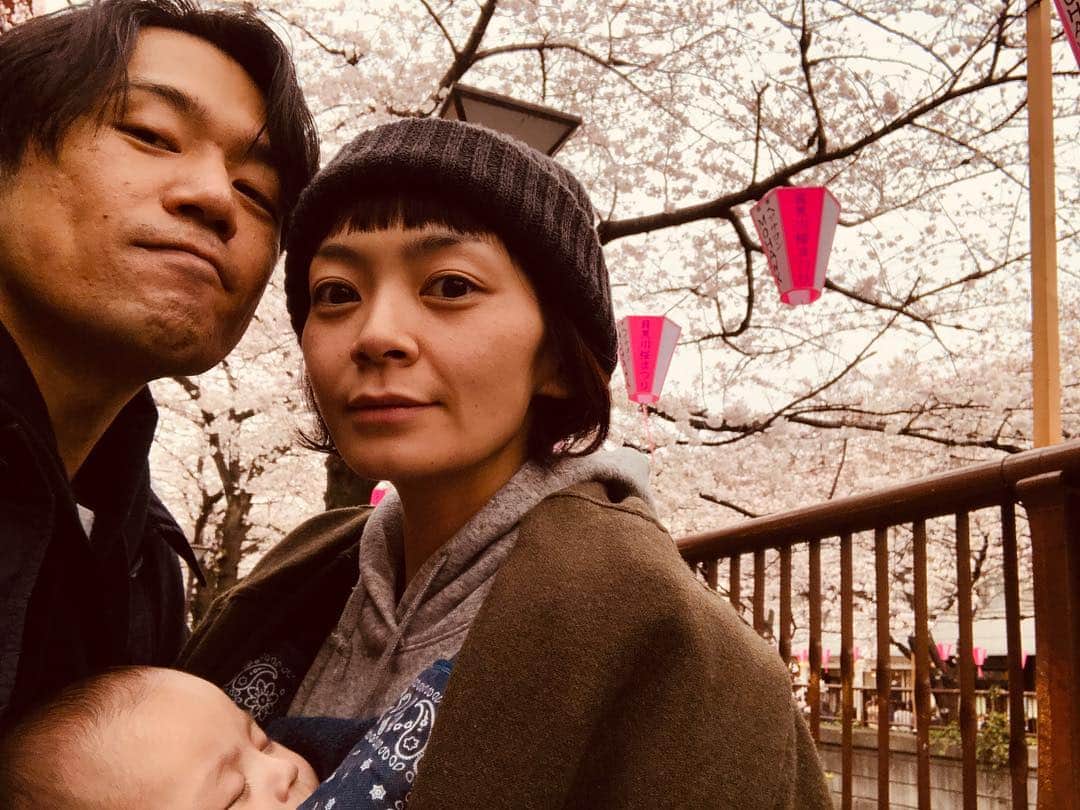 岡田義徳さんのインスタグラム写真 - (岡田義徳Instagram)「家族三人で花見をしながらの散歩。 桜はやはり大好きな花です。  #岡田義徳 #花見 #散歩 田畑智子  #目黒川  #桜」3月30日 13時50分 - yoshinori_okada_44