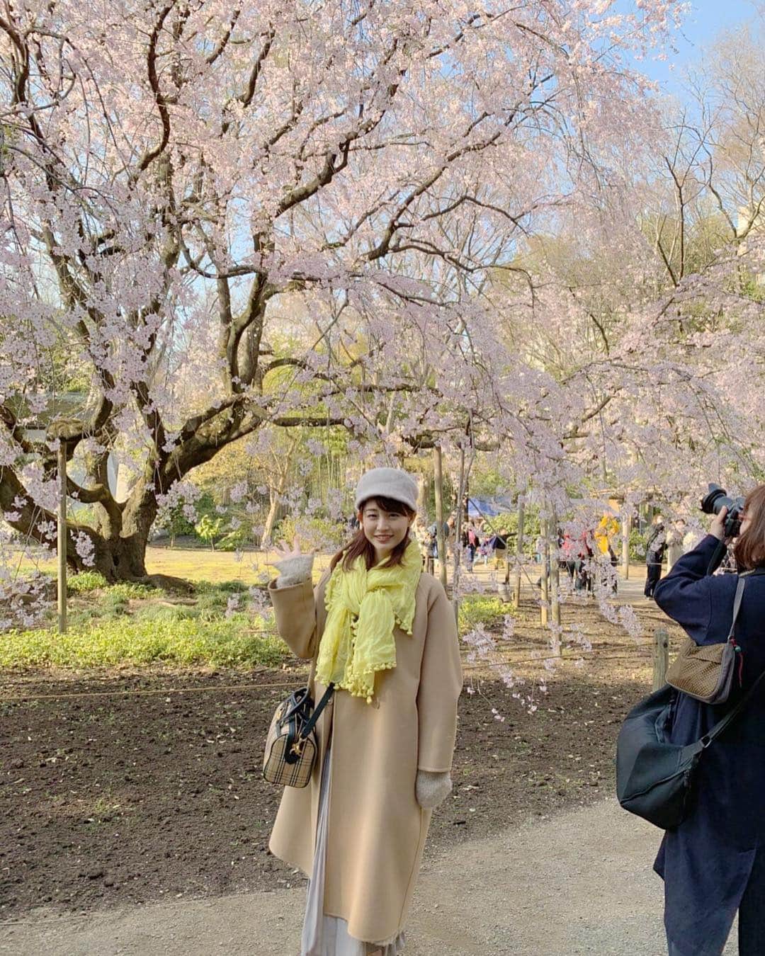 新井恵理那さんのインスタグラム写真 - (新井恵理那Instagram)「今週、六義園のしだれ桜を見に行きました♪(*^ω^*)たしか2年前、ニュースキャスターのお天気中継で夜桜を見たきりでしたが、青空の下も淡いピンク色がとても美しかったです(o^^o) ところで、出演した番組の、再放送のお知らせです！ 本日14:30〜『ザ・タイムショック 特別編』(テレビ朝日系) あす9:55〜『誰だって波乱爆笑芸能人の気になる数字スペシャル！』(日本テレビ系) ご覧ください♪( ^ω^ ) #六義園 #しだれ桜 #新情報7daysニュースキャスター #ザタイムショック #誰だって波乱爆笑 #新井恵理那」3月30日 13時53分 - elina_arai