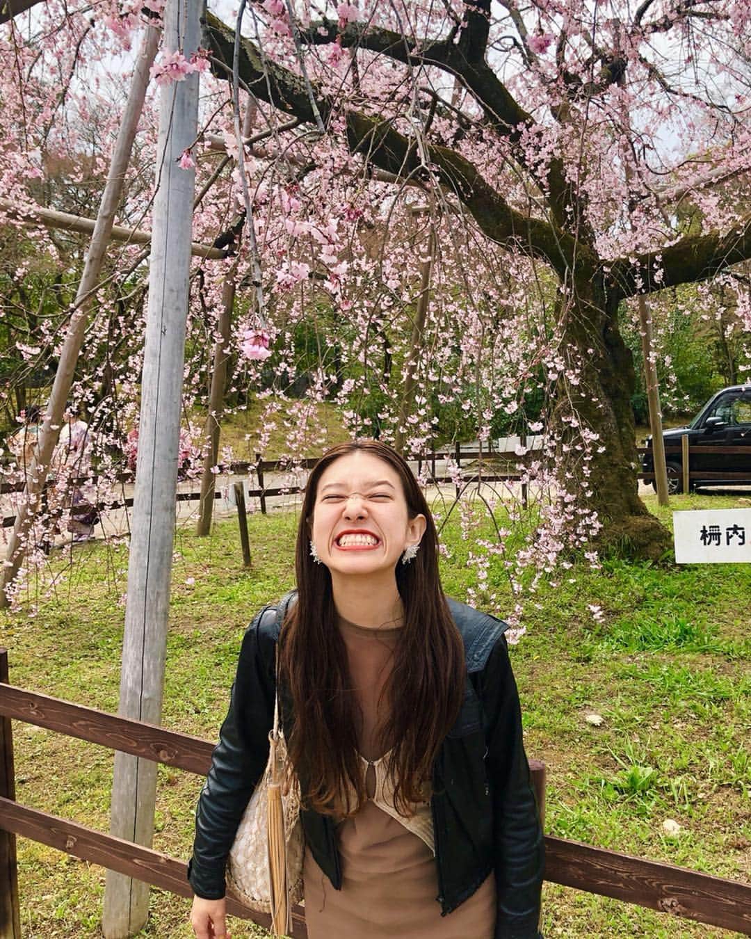 Alysa Ichikiさんのインスタグラム写真 - (Alysa IchikiInstagram)「久しぶりの母娘旅行👩‍👧 お花見がてら京都に行ってきました〜⛩🌸 桜は咲いてたり咲いてなかったりだったけど 10年ぶりの京都はなかなかいいもので☺️ ブログにもまとめたのでぜひ〜✍🏻 . #京都 #京都旅行」3月30日 14時03分 - alysa_i