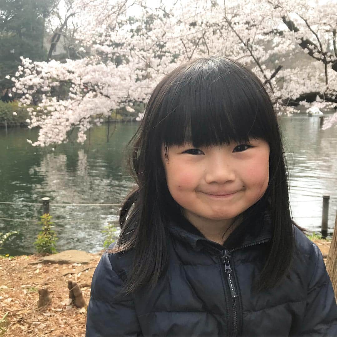 omatsuriccoのインスタグラム：「#今日のドルジ 2019.3.30 ・ 桜とドルジ🌸 Cherry blossoms and Dorji🌸 ・ 小学校あがるにあたって、このアカウントをどうしようかな・・・と。 とりあえず鍵つけてみました🗝 ・ これからもよろしくお願いしまーす🥰🥰🥰 ・ スワイプすると生後6ヶ月のドルジ😂」