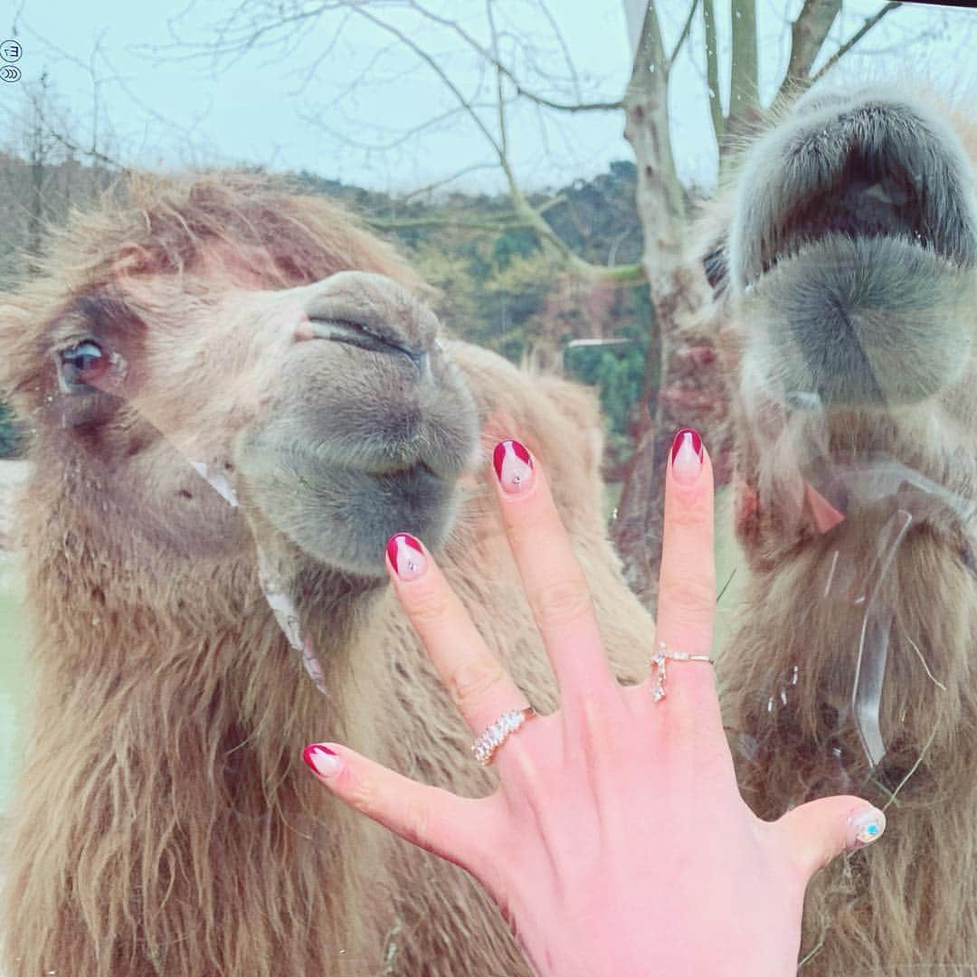 バン・ソジンさんのインスタグラム写真 - (バン・ソジンInstagram)「귀여워라 하하하 침 딜딜! 😄 낙타 🐪 착하게 생겼어 화나면 ㅋㅋ 치명적인 침퉤!? 시크혀... 그리고 못나고 못난.. 내 손 매일 예쁘게 한달동안 늘 이쁘게 유지할수 있게 해주는 영원한 나의 @witchnails_sungeun @witchnails_garosu_minju  그리고 늘 마음으로도 절 따뜻하게 대해줘서  항상 감사해요~ ❤️ 이뻐이뻐 마음도 이뻐. 우리 어느덧 #4년지기 하하 #위치네일스가로수점」3月30日 14時57分 - seojin_ban