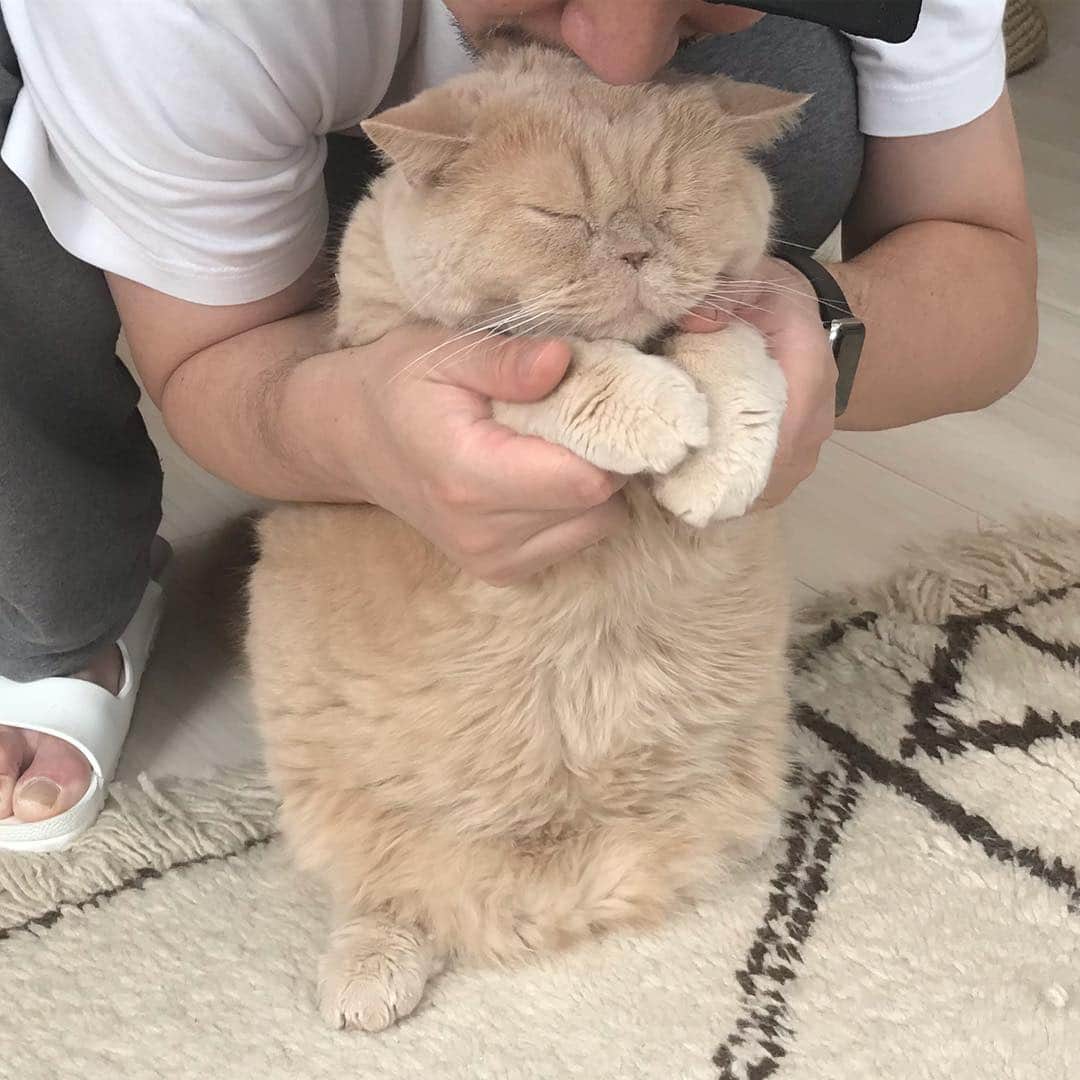 濱中鮎子のインスタグラム