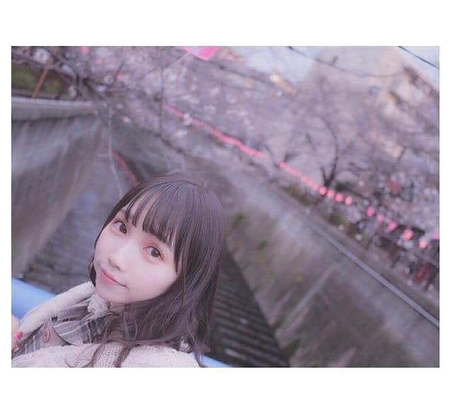 青葉ひなりさんのインスタグラム写真 - (青葉ひなりInstagram)「春がすき。  #instagood #目黒川 #桜 #青葉ひなり」3月31日 0時52分 - hinari_festive