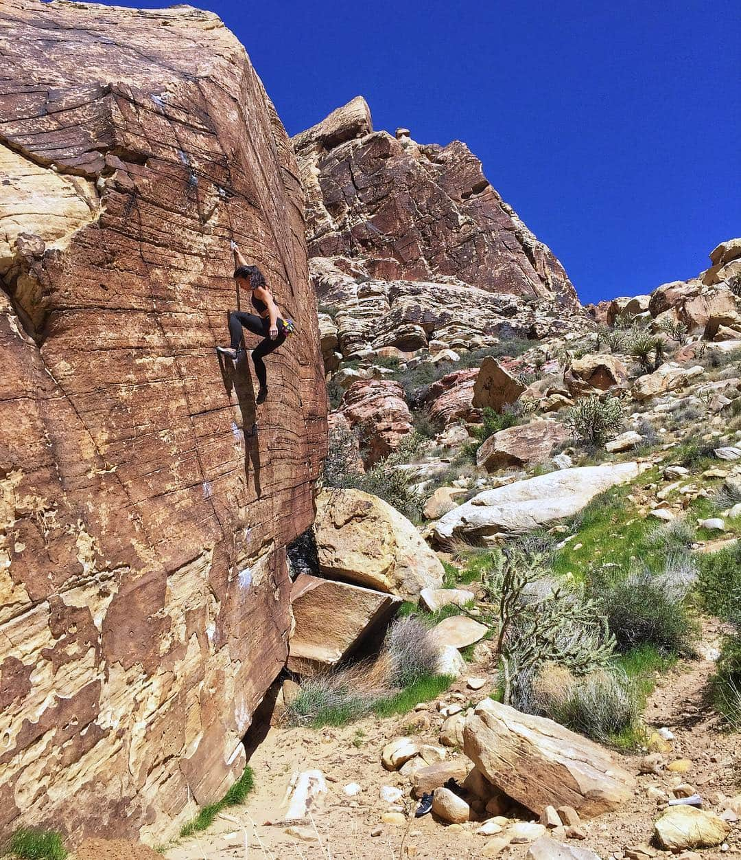 ニーナ・ウィリアムズさんのインスタグラム写真 - (ニーナ・ウィリアムズInstagram)「After convincing @bradgobright to go bouldering with me, I suggested we scope some classic blocks in Black Velvet. “We can pad this one if you wa-“ I said, but he was already booted up and reaching for the pocket on Natasha’s Highball. I eyed the sandy landing and followed suit. We took turns checking out the right line as well, getting one hold higher each time, but ultimately deciding to back down. It’s best to make smart decisions when you’re doing dumb things. Cheers to a fun session with a fellow knucklehead 🙌🏼👊🏼😂 #sketchballs #redrocksclimbing」3月31日 1時27分 - sheneenagins