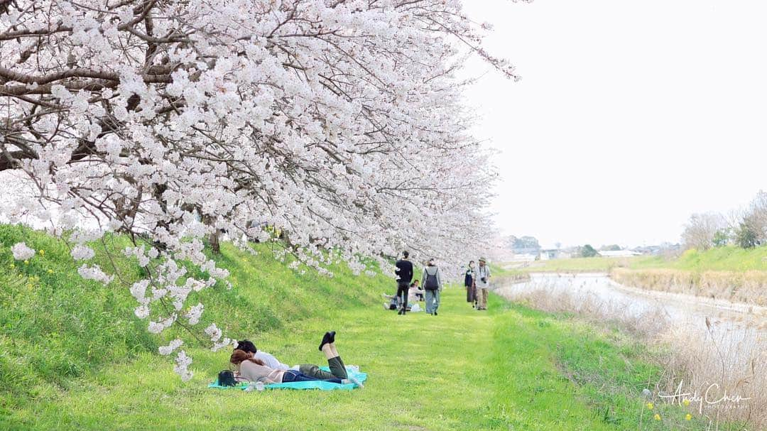 アンディ・チェンのインスタグラム