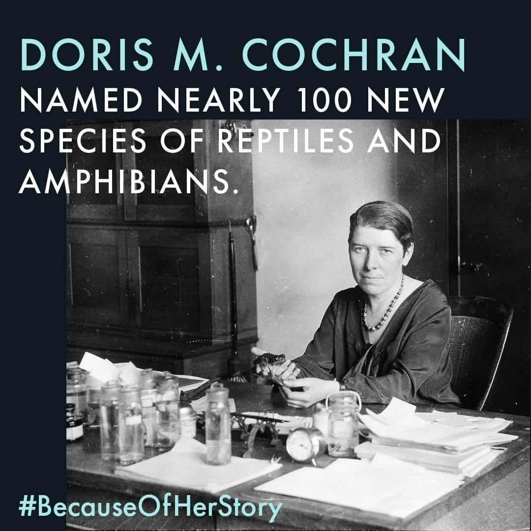 スミソニアン博物館さんのインスタグラム写真 - (スミソニアン博物館Instagram)「Doris M. Cochran was the first woman curator at our Division of Reptiles and Amphibians, where she worked from 1919 to 1968.  Her main interests were the reptiles and amphibians of Central and South America and of the West Indies, especially Haiti. She made two field trips to the region, and collected more than 3,000 frog specimens from Brazil, Colombia, Peru and elsewhere.  One of her books, "Living Amphibians of the World," has been translated into six languages. She's holding a frog in this 1934 photo in our @smithsonianarchives, which holds Cochran's papers, including her notes and travelogues. ✨ Discover more stories at womenshistory.si.edu. #BecauseOfHerStory」3月31日 1時38分 - smithsonian