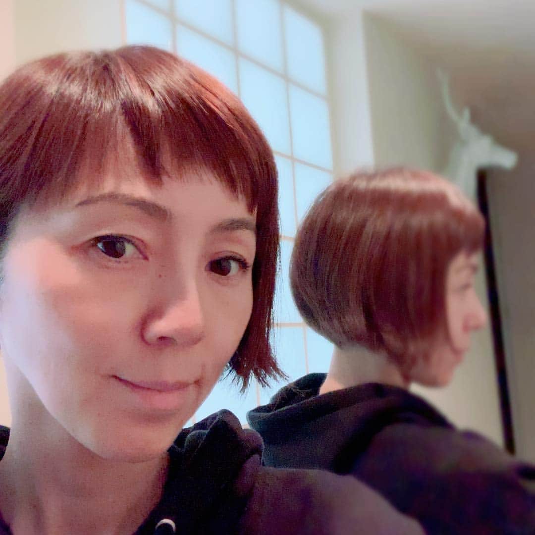 のインスタグラム：「ヘアカット✂︎✂︎✂︎✂︎✂︎✨ 後ろもわかるかな？ 左は若干短く、軽くアシメトリー。 ★ #twiggy  @twiggymiho」