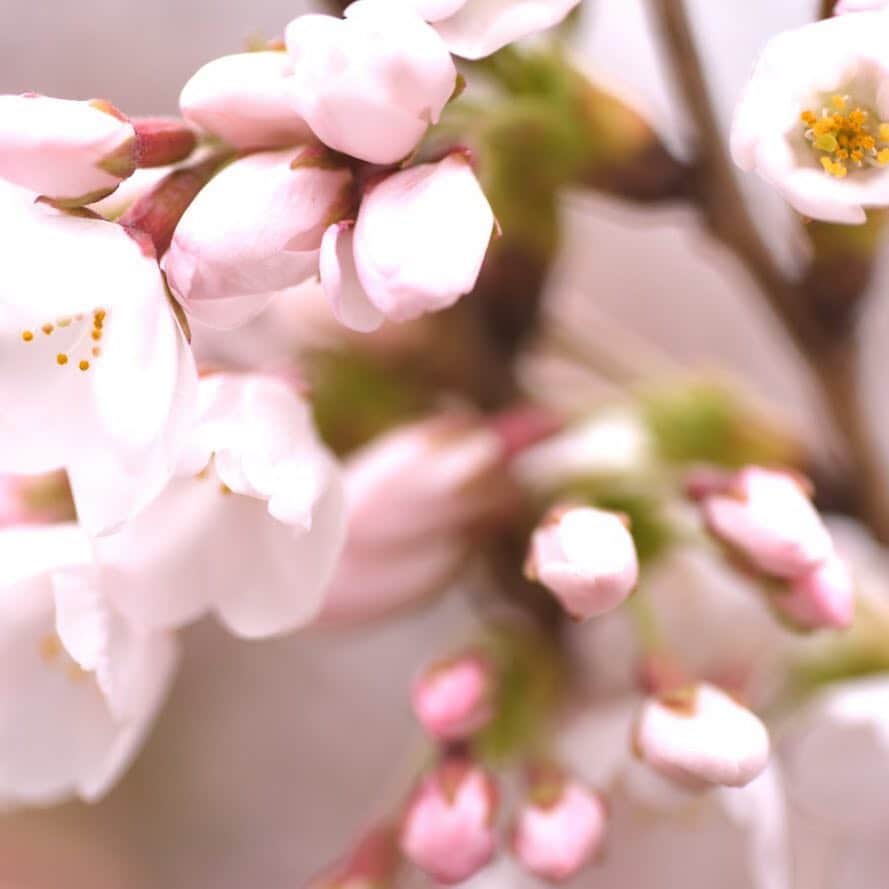 富山第一ホテルのグルメインスタ