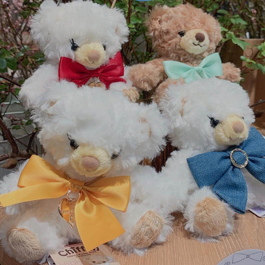 宮内桃子さんのインスタグラム写真 - (宮内桃子Instagram)「またしても萌えたシリーズ…🧸 これは可愛い…可愛いよ。  久しぶりにテディベアミュージアムへ🎀 行きたくなっちゃった！  #熊 #テディベア #テディベアミュージアム #teddybear」3月30日 17時27分 - bakemonomomo