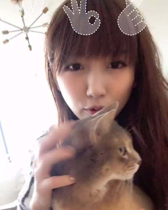 のインスタグラム：「おばちゃんがtiktokをやるとこうなる。  #tiktok #アイドルシャッター #これからは30代もtiktok #pr #目指せtiktoker」
