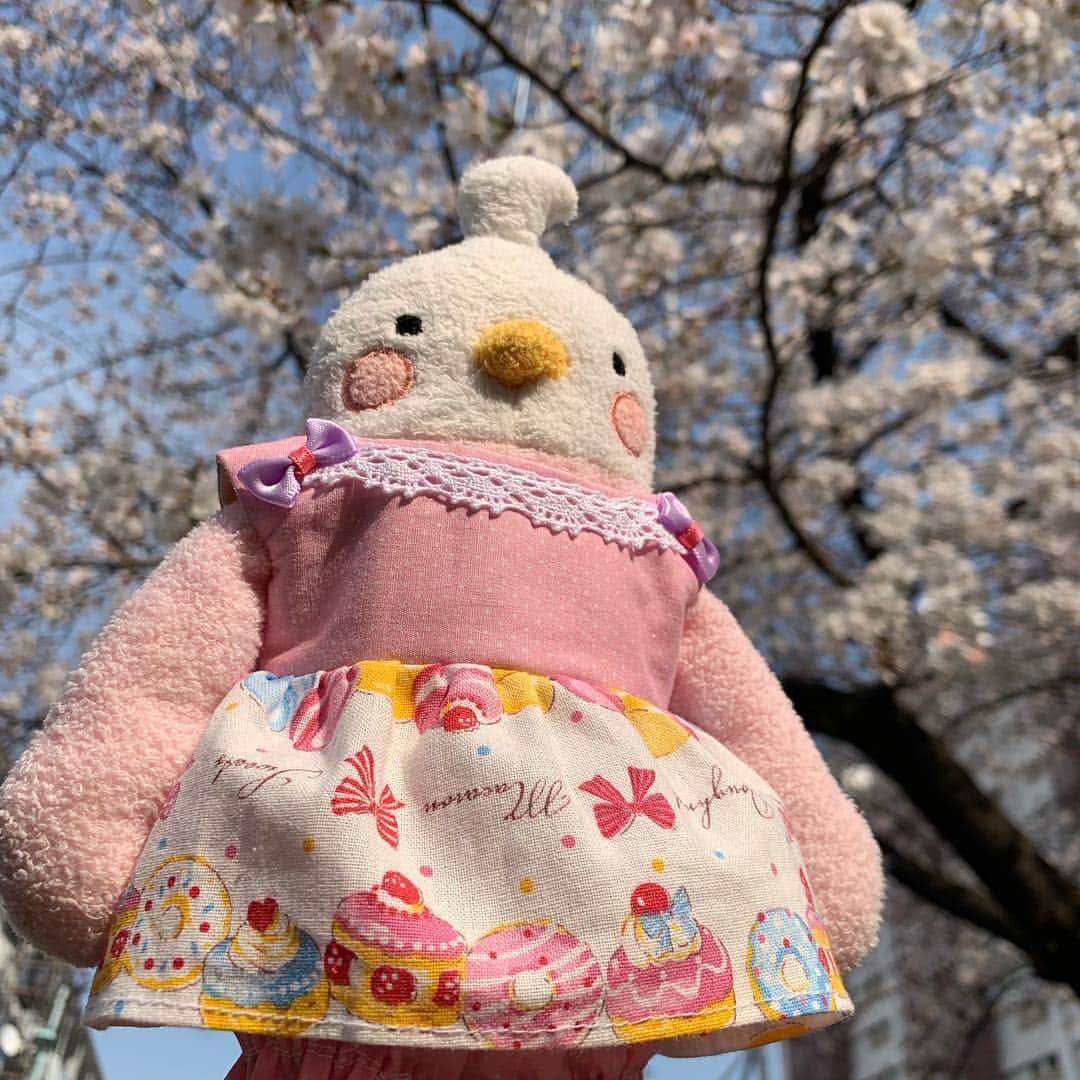 江口ともみのインスタグラム