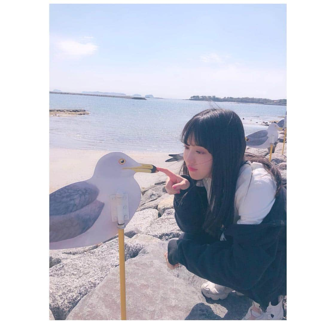 高井つき奈のインスタグラム：「佐久島さんぽ🕊﻿ ﻿ #佐久島 #カモメの駐車場 #西尾市 #島旅 #アートさんぽ」