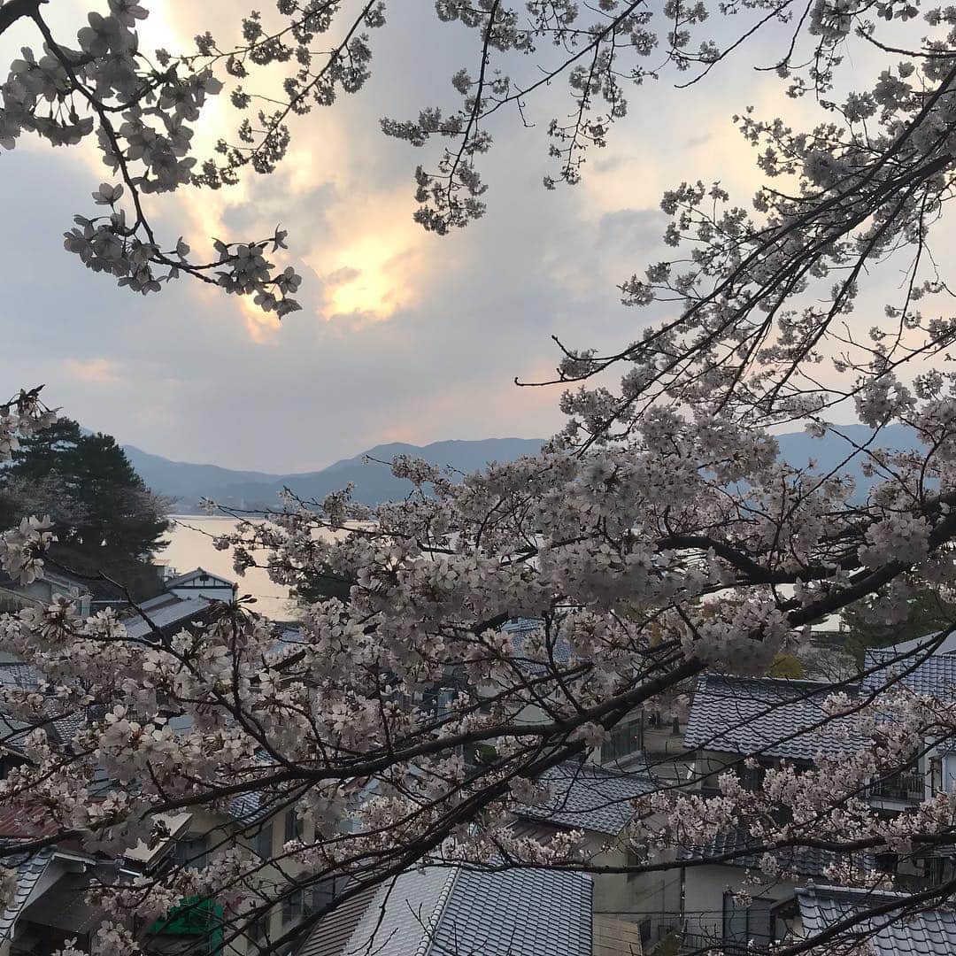 ホテル宮島別荘さんのインスタグラム写真 - (ホテル宮島別荘Instagram)「こんばんは、ホテル宮島別荘の西村です。 いよいよ春到来です。 今日の桜です^_^ 是非お越しください^_^ #ホテル宮島別荘#宮島別荘#桜#宮島#広島#観光#旅行#花見#春」3月30日 17時53分 - _miyajima_villa