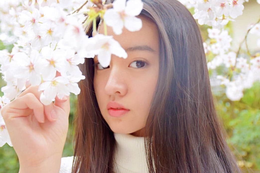 kokiさんのインスタグラム写真 - (kokiInstagram)「“Sakura” fully bloomed in my garden 💕😊」3月30日 18時01分 - koki