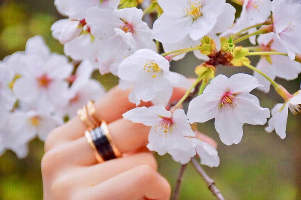 kokiさんのインスタグラム写真 - (kokiInstagram)「“Sakura” fully bloomed in my garden 💕😊」3月30日 18時01分 - koki