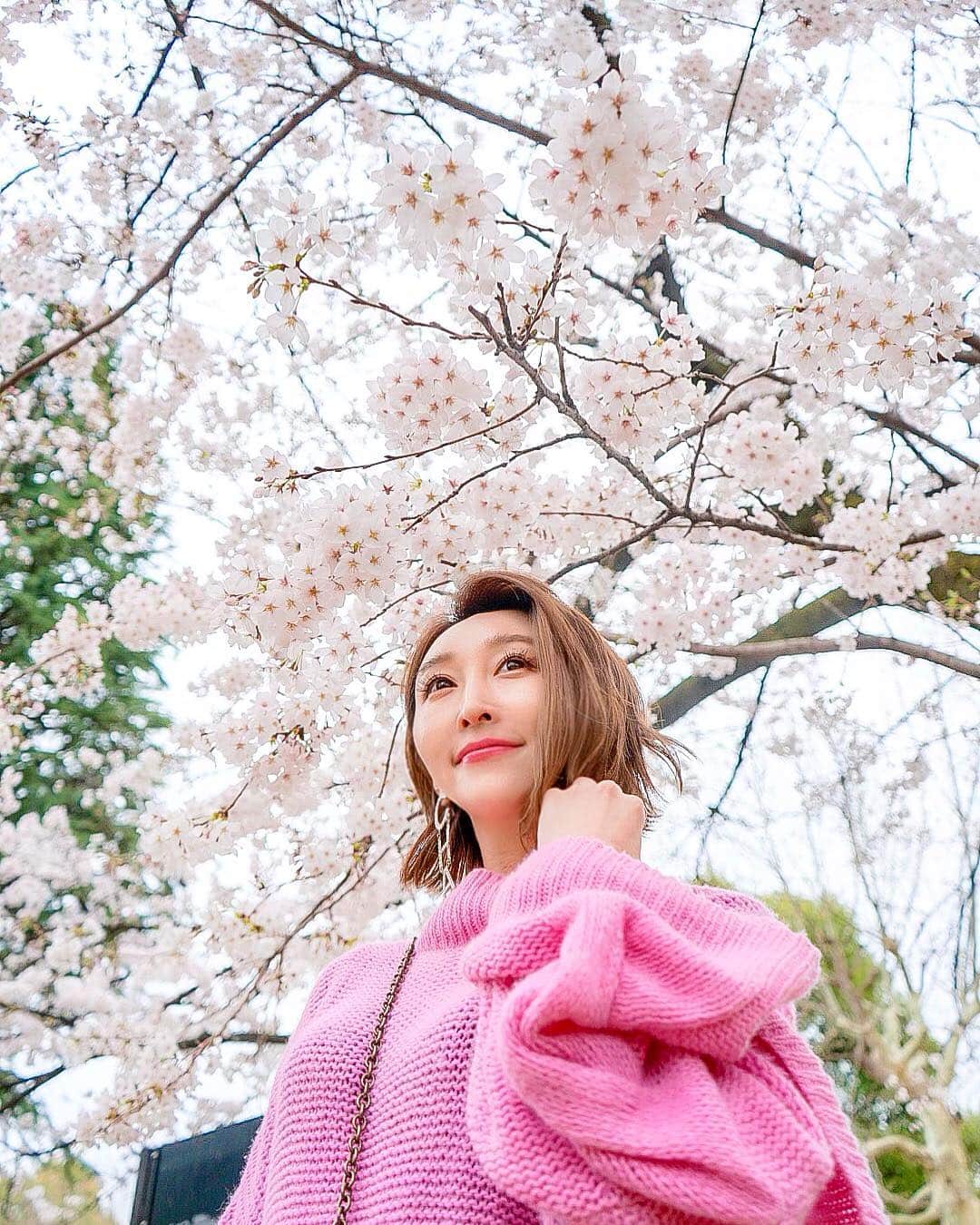 JUNKO（飯田順子）さんのインスタグラム写真 - (JUNKO（飯田順子）Instagram)「東京に来て初めて こんな長い桜のトンネルに出会ったし、 人も少なくて穴場スポットだった🍡 ・ 歩道橋からもみたんだけど ・ 下から見る方が断然綺麗🌸🍡」3月30日 18時18分 - jun__ko_
