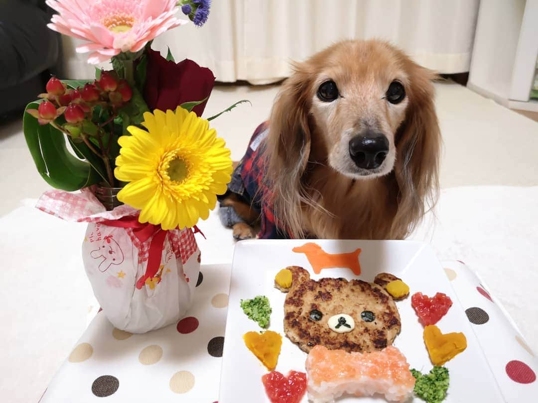 ?モデル?大地?さんのインスタグラム写真 - (?モデル?大地?Instagram)「♪🐾2019*3*30🐾 . 💕3/28は 🐶大地が家族なった 【TEAM🐶大地☆結成記念日】で 🎉🍾🥂🎂🍖🎁🎊 . 今年で【🎉15周年】を迎えました💕✌️😆✌️ . . 🐶大地のリクエストで😁 🍓イチゴ🎃カボチャ💜ブルーベリー 🍓イチゴヨーグルトの ❤💛💜💖4色のカップケーキを作りました🎶✌️😄 . . 毎日1つづつ食べてるから 明日もケーキが食べるね🎶😁😁😁ｲﾋﾋｯ💕 . . #うちの子記念日 #3月 #フォトビーでお祝い . . 🐾🐾🐾🐾🐾🐾🐾🐾🐾🐾🐾🐾🐾🐾 . #大地#大好き#だいすき #いつも一緒#ずっと一緒 #大地なしでは生きて行けませんw #いぬ#イヌ#犬#わんこ . #ワンコ#愛犬#いぬばか部 #犬バカ部#いぬら部#いぬすたぐらむ #犬のいる暮らし#犬の生活が第一 #pecoいぬ部#お祝い . #yokohama#神奈川#横浜 #ミニチュアダックスフンド#ミニチュアダックス #ダックスフンド#ダックス」3月30日 18時32分 - sachi_daichi